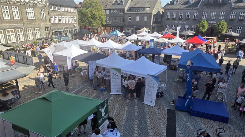 Präventionstag: Goslar zeigt, wie Sicherheit funktioniert Beim Präventionstag auf dem Marktplatz gibt es eine große Vielfalt an Informationsständen.