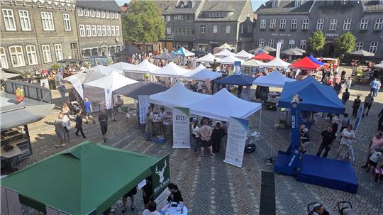 Beim Präventionstag auf dem Marktplatz gibt es eine große Vielfalt an Informationsständen.