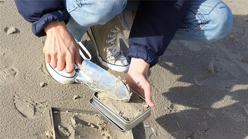 Studie untersucht Mikroplastik an deutschen Küsten Beim Projekt „Mikroplastikdetektive“ haben Bürgerinnen und Bürger Proben von Sandstränden genommen. Forschende des Bremerhavener Alfred-Wegener-Instituts (AWI) untersuchten diese auf Mikroplastik.