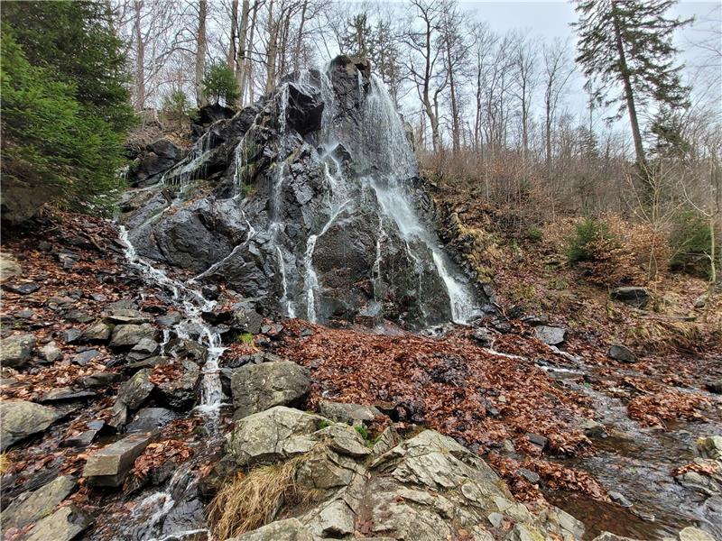 Radau-Wasserfall: Die Trockenlegung ist vom Tisch Beim Radau-Wasserfall südlich von Bad Harzburg handelt es sich um ein Kulturdenkmal. Weil die geschützt sind, darf das Bauwerk auch nicht durch menschliche Hand trockengelegt werden. Vom Tisch ist damit auch die Frage, wer für den Wasserfall verantwortlich ist. Foto: Exner