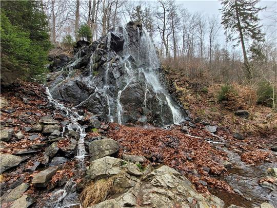 Beim Radau-Wasserfall südlich von Bad Harzburg handelt es sich um ein Kulturdenkmal. Weil die geschützt sind, darf das Bauwerk auch nicht durch menschliche Hand trockengelegt werden. Vom Tisch ist damit auch die Frage, wer für den Wasserfall verantwortlich ist. Foto: Exner