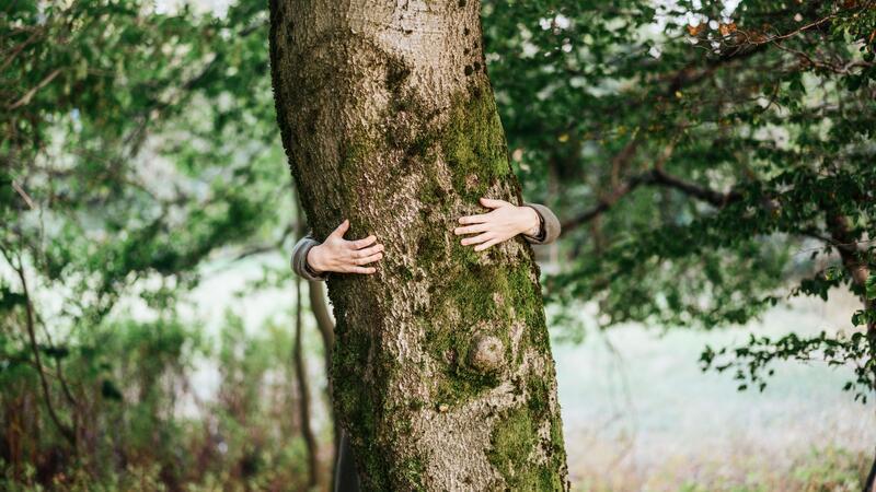 Eine Person steht hinter einem Baum und umarmt diesen.