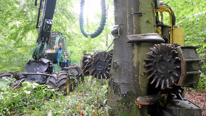Walderlebnistag im Hainberg bietet mehr als nur Holz und Hirsch Beim Walderlebnistag im Hainberg können die Besucher einen Harvester ganz aus der Nähe beguachten.