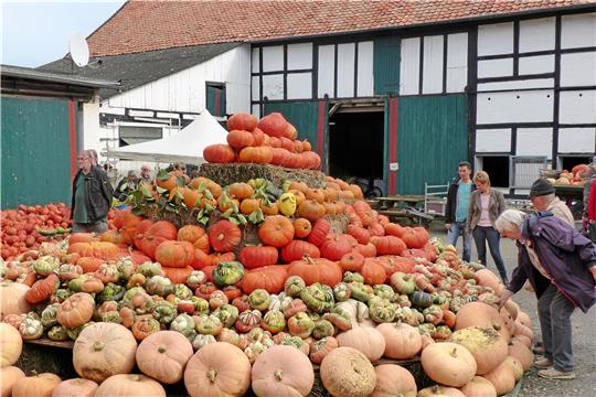 Beim Westeröder Kürbisfest gibt es immer eine Menge Kürbisse, hier zum Beispiel 2018. Aber in diesem Jahr ist die Ernte enorm und das Angebot wird riesig sein. Foto: GZ-Archiv