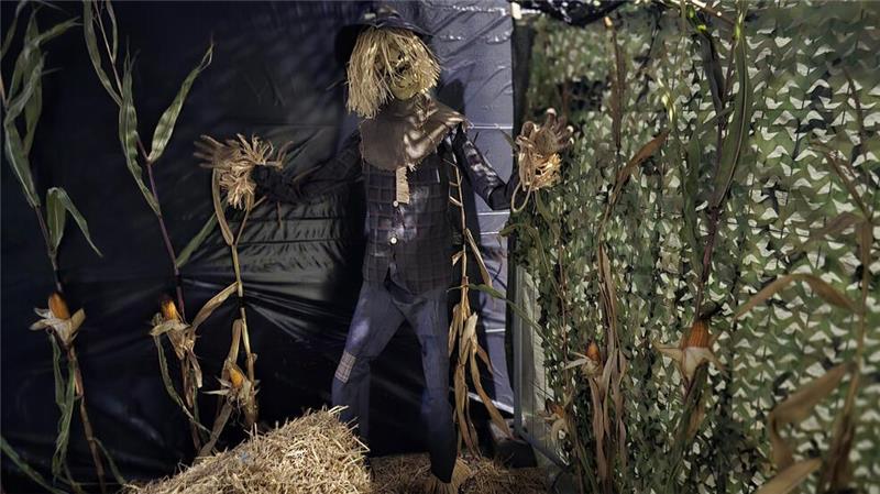 Beim traditionellen Schelloween in Oker warten alte und neue Erschrecker.