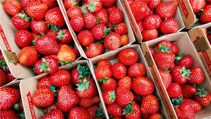 Beliebt, aber teuer: Einheimische Erdbeeren.
