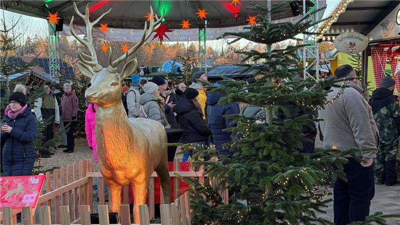 Das Bild zeigt einen goldenen Kunststoffhirsch vor einem Markt