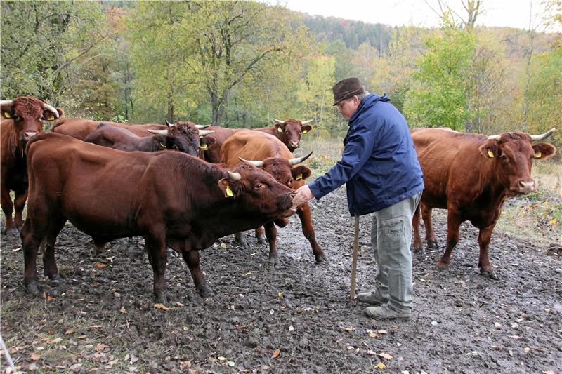 Bereits mehrfach haben sich laut Daniel Morick nach dem Tod der vier Kühe Menschen bei ihm gemeldet, die Interesse bekundet haben, ihm finanziell zu helfen.  Foto: Düber