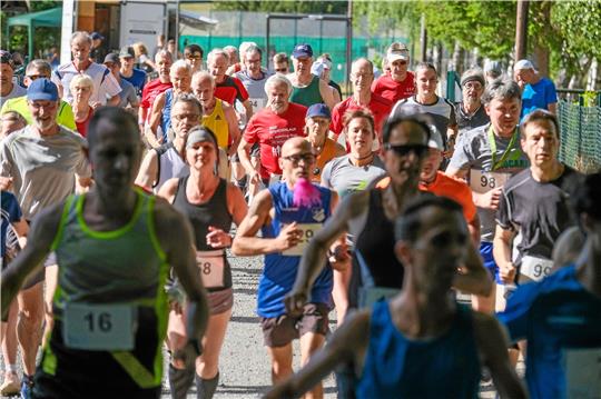 Bereits zum 20. Mal lädt der TSV Wolfshagen zum Sommernachtslauf. Der Gastgeber erwartet zur Jubiläumsveranstaltung bis zu 150 Läuferinnen und Läufer. Foto: Drechsler