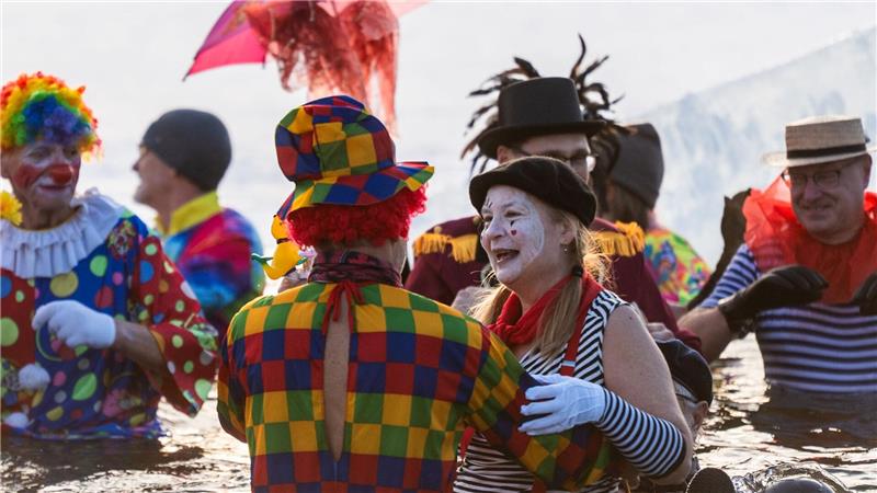 Berliner Seehunde gehen baden.
