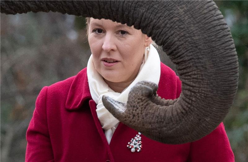 Berliner Zoo nach Vogelgrippe-Fall wieder geöffnet Berlins Regierende Bürgermeisterin Franziska Giffey (SPD) füttert im Zoo einen Elefanten.