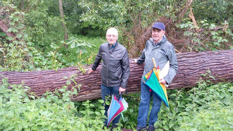 Bernward Köbbel und Karl-Jürgen Heldt an einem der zahlreichen okernah umgestürzten Bäume. Hier staut sich bei tagelangem Starkregen das ablaufende Wasser.