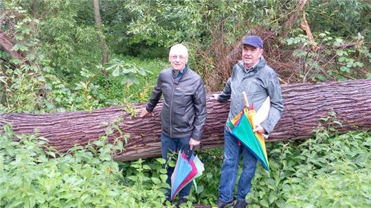 Bernward Köbbel und Karl-Jürgen Heldt an einem der zahlreichen okernah umgestürzten Bäume. Hier staut sich bei tagelangem Starkregen das ablaufende Wasser.