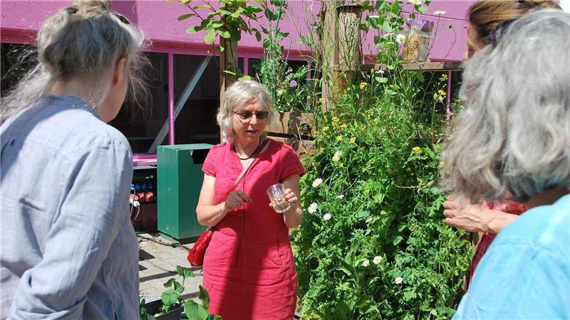 Ab in die Balkonschule: Gärtnern auf engstem Raum Besonders stolz ist Birgit Schattling auf die Klimaterrasse.