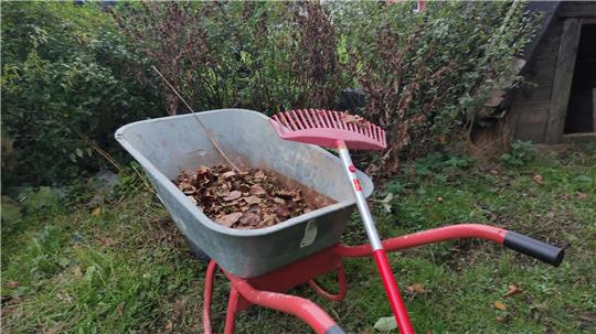 Besser und schonender als der Laubsauger-Einsatz ist die gute alte Harke. Außerdem profitieren viele heimischen Gartentiere von den Laubhaufen und nicht zurückgeschnittenen Stauden.