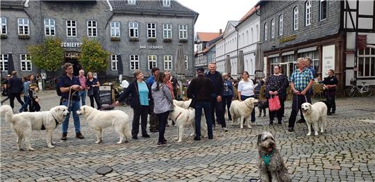 Besuch in Goslar. Vier- und Zweibeiner genießen den Marktplatz und nehmen an einer Stadtführung teil.  Fotos: Hohaus