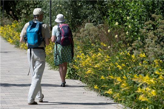 Besucher gehen auf der Landesgartenschau an blühendem Sommerflor vorbei.