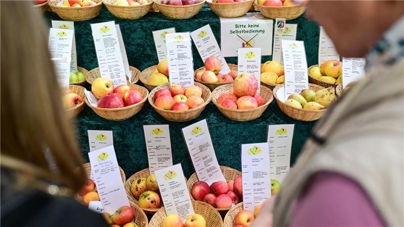 Besucher können sich über Lebensmittel informieren.