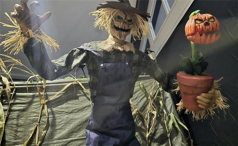 10 Jahre „Schelloween“: Grusel-Jubiläum in Oker Besucher müssen sich auf Vogelscheuchen, Baumgeister, Hexen und andere Erschrecker gefasst machen.