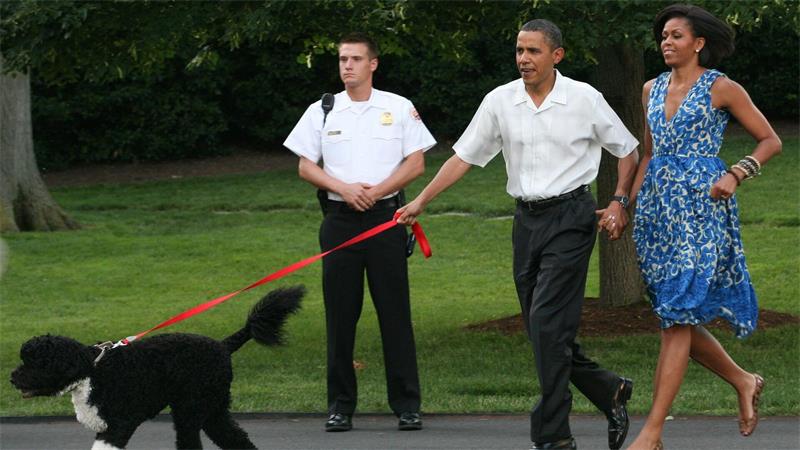 Bevor Hündin Sunny zu den Obamas kam, gehörte auch schon Hund Bo zur Familie. (Archivbild)
