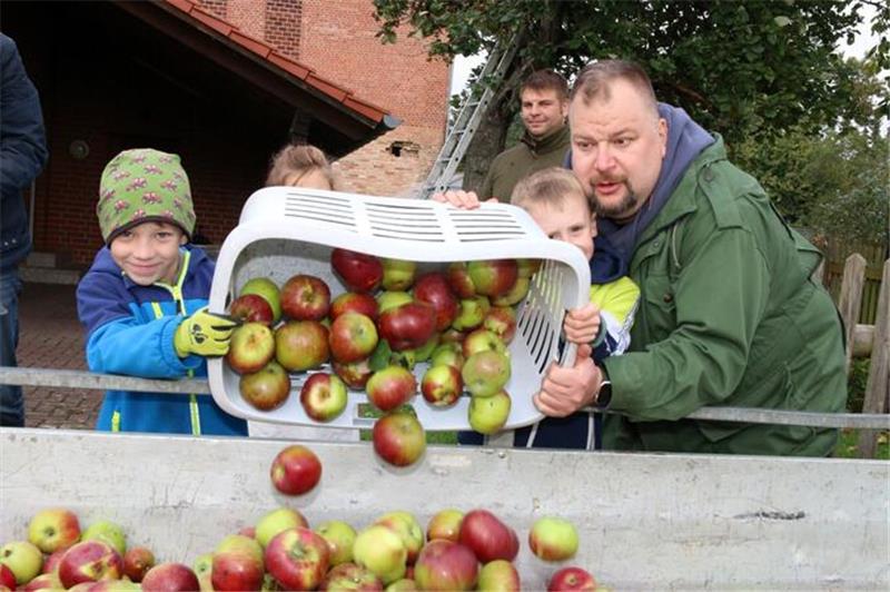 Bevor man danken kann, muss geerntet werden. Da zeigte sich der Bürgerverein Gielde bereits am Samstag aktiv.