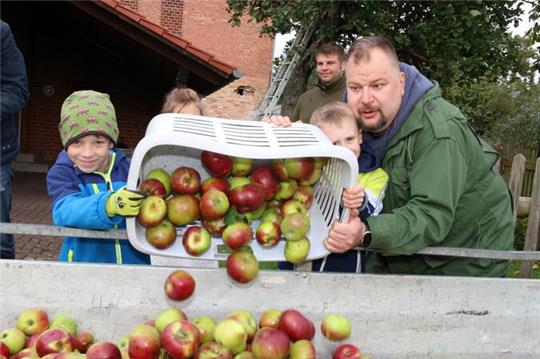 Bevor man danken kann, muss geerntet werden. Da zeigte sich der Bürgerverein Gielde bereits am Samstag aktiv.