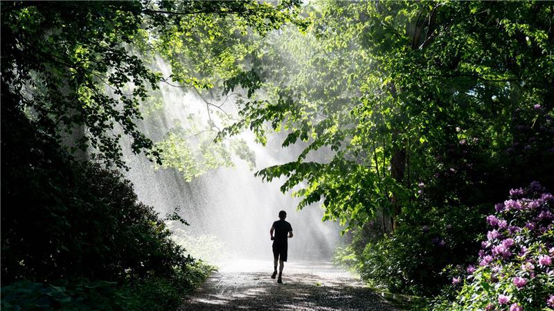 Bewegung in der Natur hebt die Laune, reduziert Stress und stärkt das psychische Wohlbefinden.