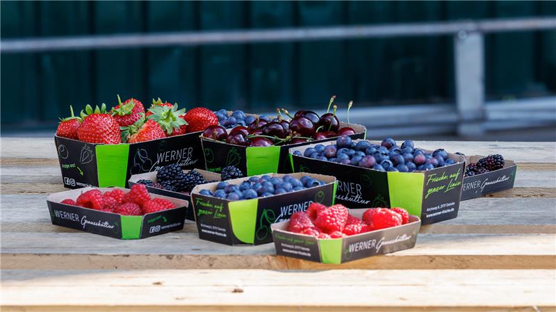 Feldfrische Beeren und Kirschen – jetzt unsere Hofläden und Verkaufsstände besuchen