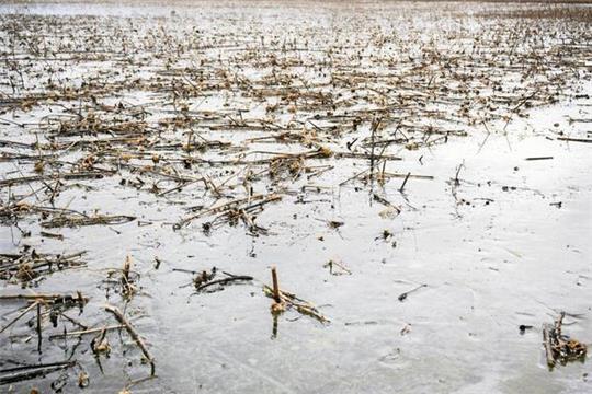 Das Grundwasser hat sich erholt – für wie lange?