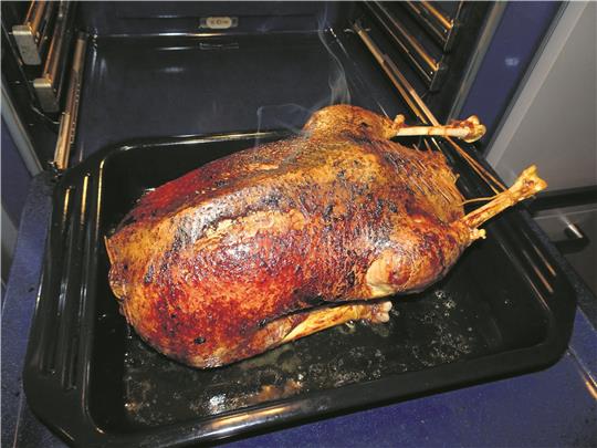 Die Gans des guten Gewissens