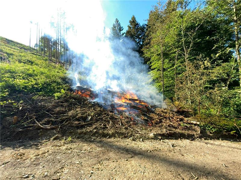 Harzburger Feuerserie reißt nicht ab: Holzhaufen brennt