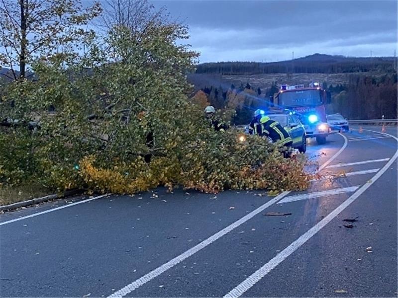 "Ignatz": Baum fällt auf Auto mit drei Insassen - Straßen im Oberharz gesperrt
