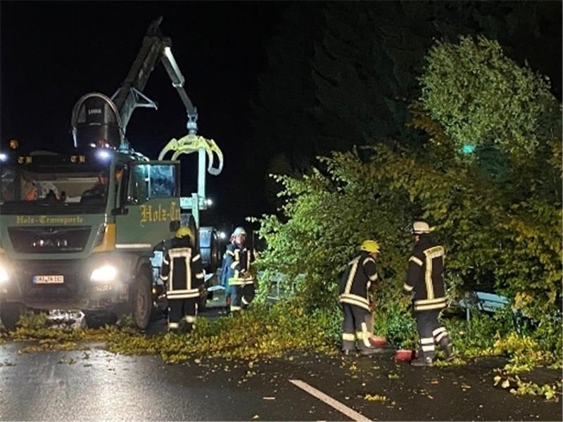 "Ignatz": Baum fällt auf Auto mit drei Insassen - Straßen im Oberharz gesperrt