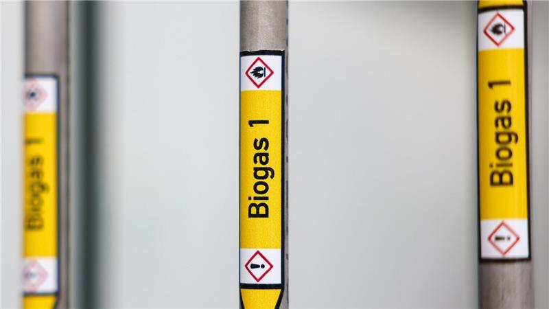 Biogas soll beim Klimaschutz helfen. (Archivbild)