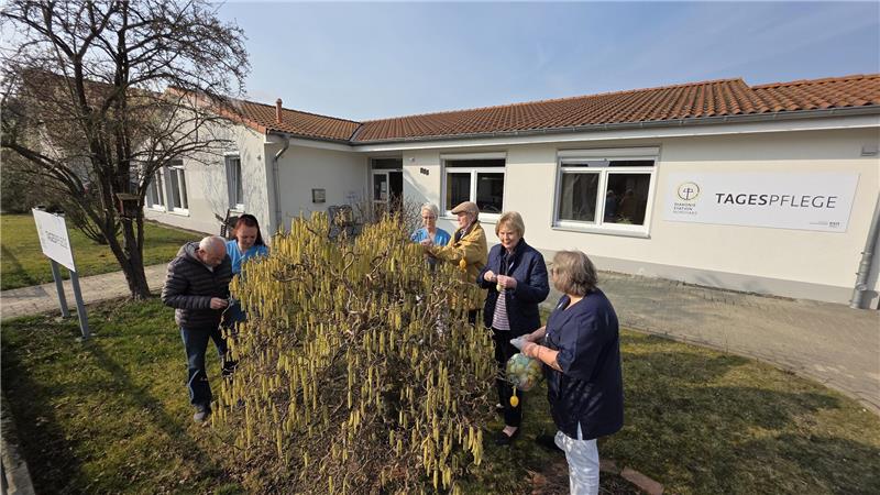 Birgit Gartner (r.), Leiterin der Tagespflege Vienenburg, schmückt mit Senioren und Mitarbeitern einen Busch auf dem Grundstück der Einrichtung mit Ostereiern.