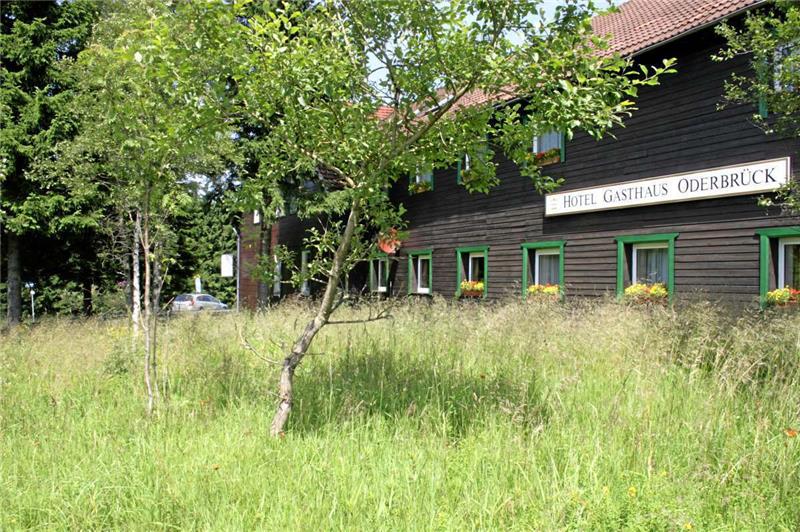 Bis vor acht Jahren stand in Oderbrück ein Gasthaus. Als es abbrannte, stand einige Jahre eine Bauruine, die dann mithilfe des Landkreises abgerissen wurde.  Archivfoto: Potthast