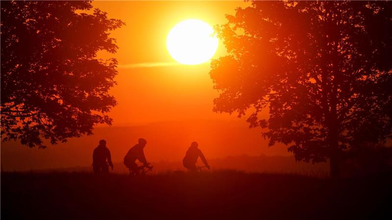Bis zu 16 Sonnenstunden pro Tag sind am Wochenende möglich. (Archivbild)