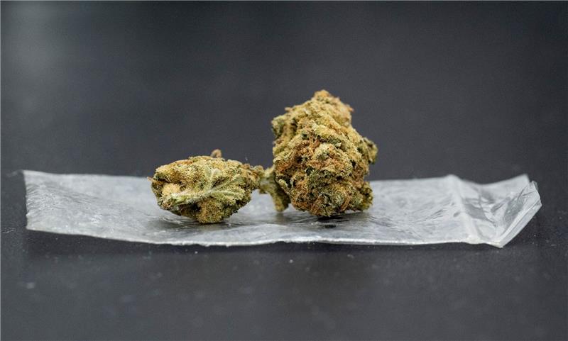 Cannabis-Gesetzentwurf fertig Bis zu 25 Gramm Cannabis sollen künftig erlaubt sein.