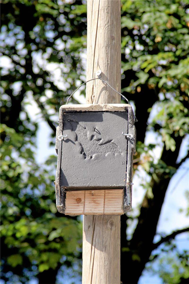 Clausthal-Zellerfeld: Werk Tanne setzt sich für Artenschutz ein Bis zu 40 Tiere passen in die kleinen Kästen. Foto: Knoke