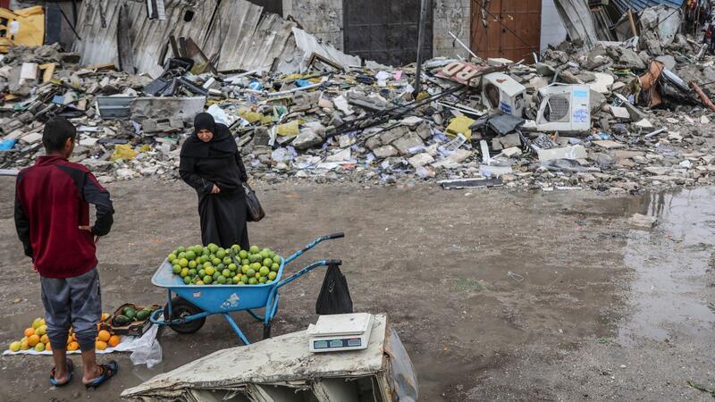 UN-Bericht: Wirtschaft im Gazastreifen liegt in Trümmern Bis zu 96 Prozent des Landwirtschaftssektors ist im Gazastreifen zerstört (Archivbild)