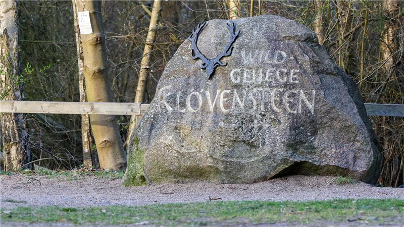 Bis zu seinem Transport nach Niedersachsen war der Wolf im Wildgehege Klövensteen untergebracht und tiermedizinisch versorgt worden. 