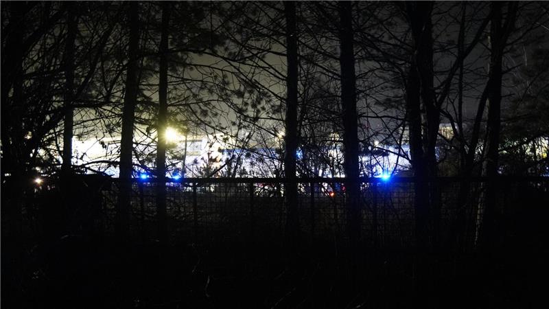 Blaulicht in der Ferne hinter Bäumen und Büschen.