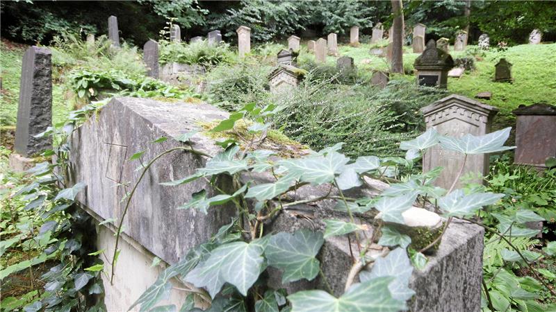 Blick auf Seesens jüdischen Friedhof am Nordhang des Hasseberges: Etwa 100 Gräber sind dort erhalten.
