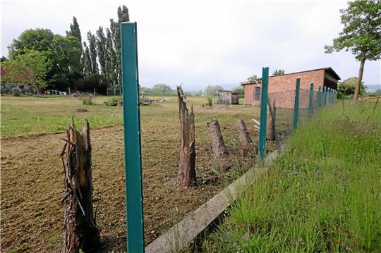 Blick auf das Areal „Hinter der Burg“ in Lutter: Die Stuken zeugen davon, dass dort ein Baumbestand weichen musste. Deshalb fordert der Kreis eine Kompensationsmaßnahme. Fotos: Gereke