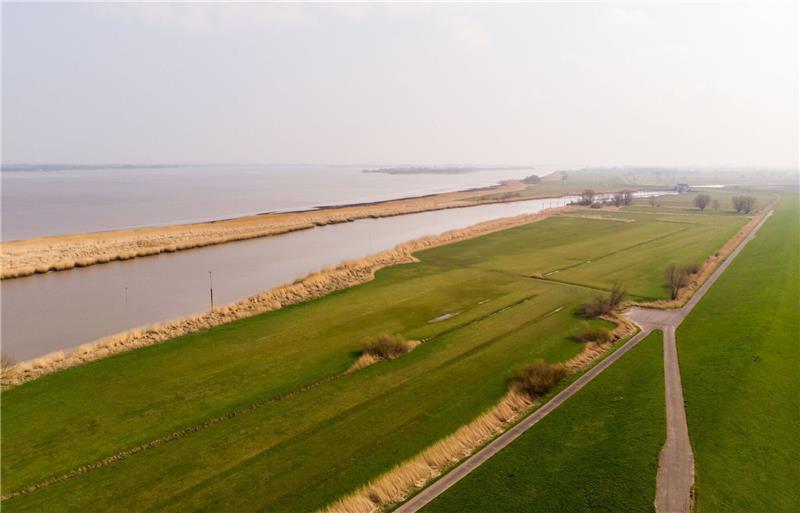 Bundesverwaltungsgericht weist Klagen gegen A20-Elbtunnel ab Blick auf das Deichvorland in dem Bereich, in dem ein Tunnel unter der Elbe durchlaufen soll.