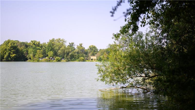 Badeseen in Niedersachsen wegen Blaualgen gesperrt Blick auf den Großen Teich der Ricklinger Kiesteiche. Die Region Hannover hat für das Gewässer wegen erhöhter Konzentration von Blaualgen ein Badeverbot ausgesprochen.