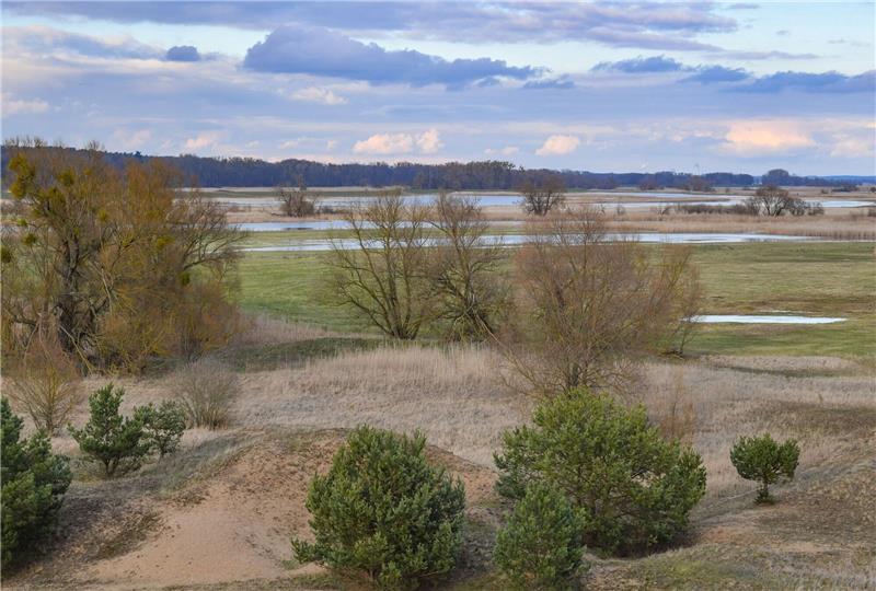 Konferenz: Feuchtgebiete retten und damit Klima schützen Blick auf den Nationalpark Unteres Odertal am deutsch-polnischen Grenzfluss Oder.