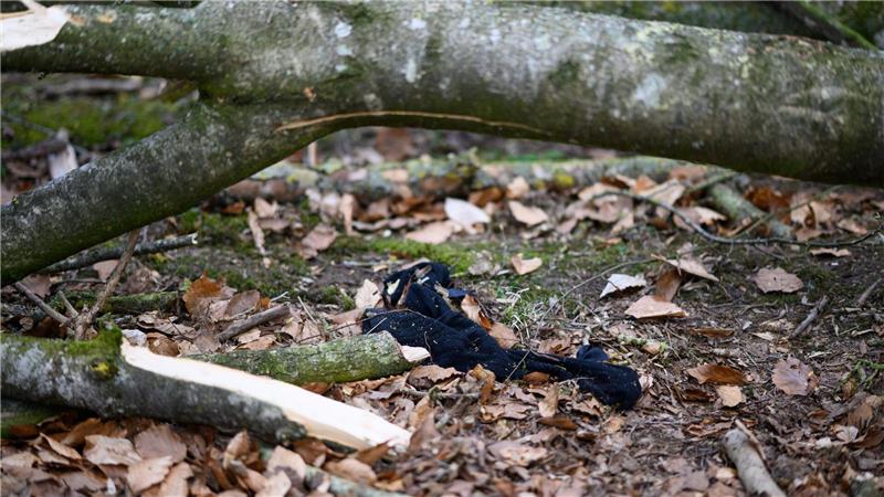 Blick auf den Unfallort.