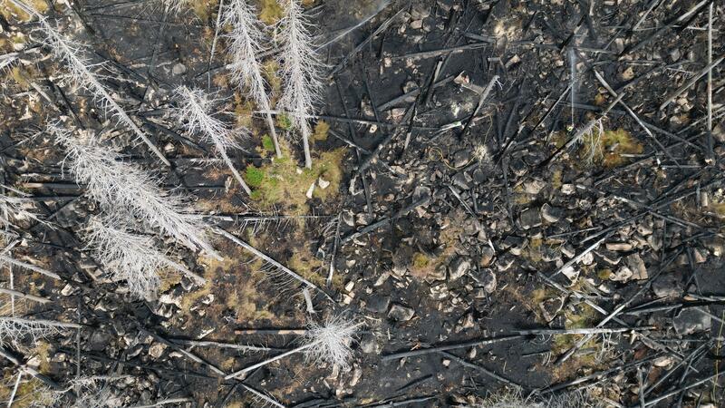 Brocken-Waldbrand offiziell gelöscht – Einsatzkräfte rücken ab Blick auf die Brandfläche am Königsberg (Aufnahme mit Drohne).