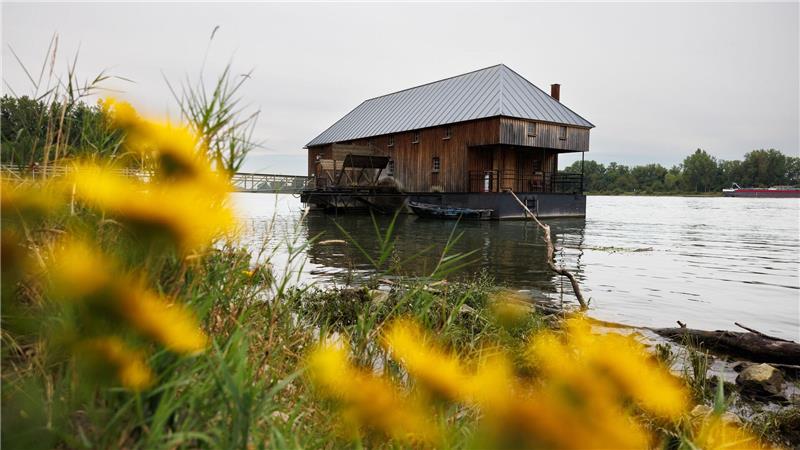 Blick auf die Ginsheimer Schiffsmühle, die auf dem Rhein schwimmt. 